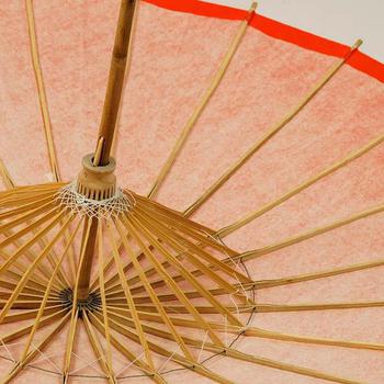Japanese Parasol Bamboo Neutral Red