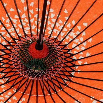 Japanese Parasol Lacquer Sakura Cherryblossom Red