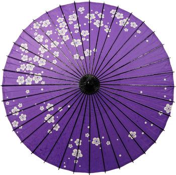 Japanese Parasol Lacquer Plum Blossom Purple